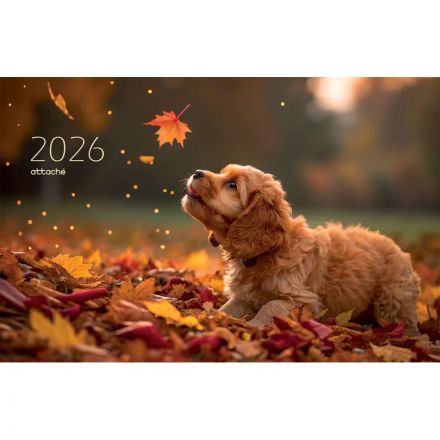 Календарь настенный 3-х блочный 2026 Attache, 305х675, Щенок, 80г/м2