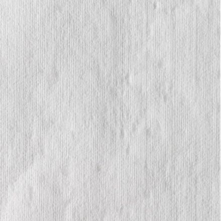 Материал протирочный нетканый WYPALLxX50LROLLWH1P1X1100 31х24,9см бел.8356
