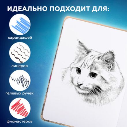 Скетчбук, белая бумага 160 г/м, 145х203 мм, 64 л., резинка, твердый, BRAUBERG ART CLASSIC "Это Кот", 114589