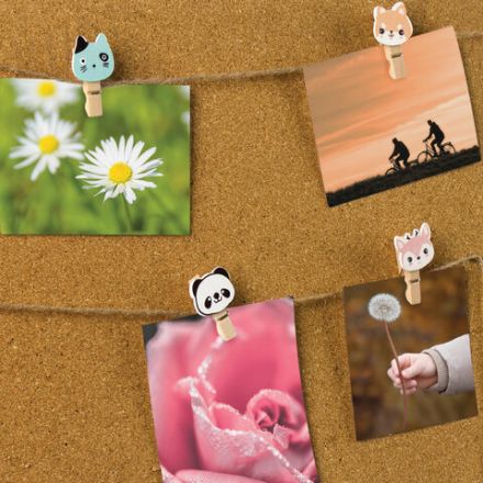 Прищепки декоративные "Забавные животные", 10 штук, 3,5 см, ассорти, со шпагатом, ОСТРОВ СОКРОВИЩ, 662672 Прищепки декоративные "Забавные животные", 10 штук, 3,5 см, ассорти, со шпагатом, ОСТРОВ СОКРОВИЩ, 662672