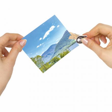 Прищепки декоративные "Забавные животные", 10 штук, 3,5 см, ассорти, со шпагатом, ОСТРОВ СОКРОВИЩ, 662672 Прищепки декоративные "Забавные животные", 10 штук, 3,5 см, ассорти, со шпагатом, ОСТРОВ СОКРОВИЩ, 662672