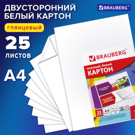 Картон белый А4 МЕЛОВАННЫЙ (белый оборот), 25 листов, BRAUBERG, 210х297 мм, 124021 Картон белый А4 МЕЛОВАННЫЙ (белый оборот), 25 листов, BRAUBERG, 210х297 мм, 124021