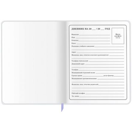 Дневник 1-4 класс 48 л., кожзам (гибкая), печать, фольга, ЮНЛАНДИЯ, "Ёжики", 106217 Дневник 1-4 класс 48 л., кожзам (гибкая), печать, фольга, ЮНЛАНДИЯ, "Ёжики", 106217