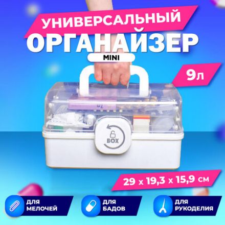 Аптечка домашняя органайзер для хранения универсальный размер MINI 29х19,3х15,9 см, DASWERK (ДАСВЕРК), 608476