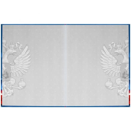 Дневник школьника СИМВОЛИКА ФЛАГ 7БЦ,А5+,48л,глянц. 69753