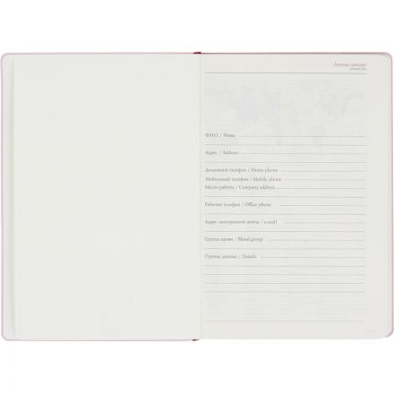 Ежедневник недатированный А5 MADRID (ЗЕФИРНЫЙ РОЗОВЫЙ) 3-227/10 Ежедневник недатированный А5 MADRID (ЗЕФИРНЫЙ РОЗОВЫЙ) 3-227/10