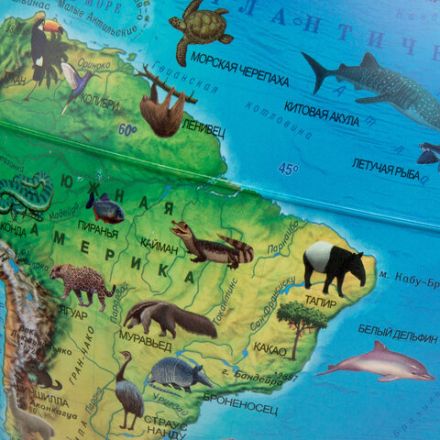 Глобус зоогеографический GLOBEN "Классик Евро", 25 см, с подсветкой, детский, Ке012500270 Глобус зоогеографический GLOBEN "Классик Евро", 25 см, с подсветкой, детский, Ке012500270