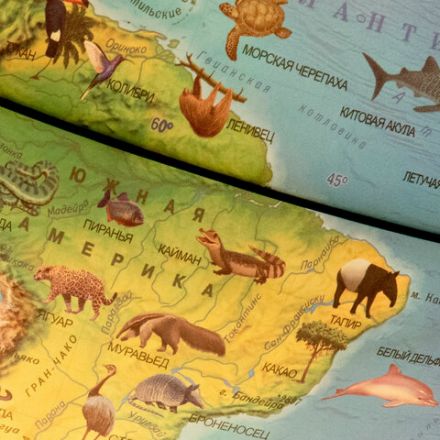 Глобус зоогеографический GLOBEN "Классик Евро", 25 см, с подсветкой, детский, Ке012500270 Глобус зоогеографический GLOBEN "Классик Евро", 25 см, с подсветкой, детский, Ке012500270