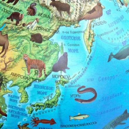 Глобус зоогеографический GLOBEN "Классик Евро", 25 см, с подсветкой, детский, Ке012500270 Глобус зоогеографический GLOBEN "Классик Евро", 25 см, с подсветкой, детский, Ке012500270