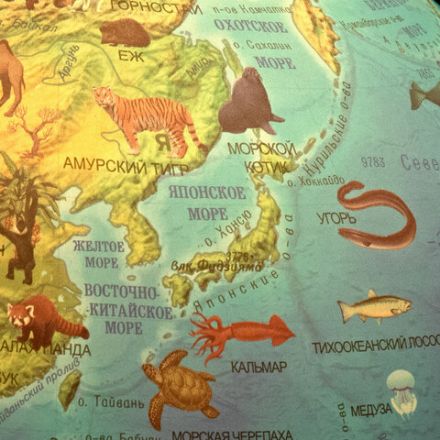 Глобус зоогеографический GLOBEN "Классик Евро", 25 см, с подсветкой, детский, Ке012500270 Глобус зоогеографический GLOBEN "Классик Евро", 25 см, с подсветкой, детский, Ке012500270