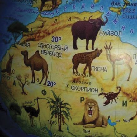 Глобус зоогеографический GLOBEN "Классик Евро", 25 см, с подсветкой, детский, Ке012500270 Глобус зоогеографический GLOBEN "Классик Евро", 25 см, с подсветкой, детский, Ке012500270