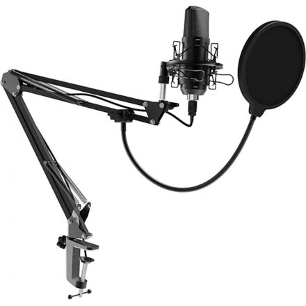 Микрофон Ritmix RDM-169 Black, cтудийный, конденсаторный, на стойке