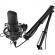 Микрофон Ritmix RDM-169 Black, cтудийный, конденсаторный, на стойке