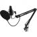 Микрофон Ritmix RDM-169 Black, cтудийный, конденсаторный, на стойке