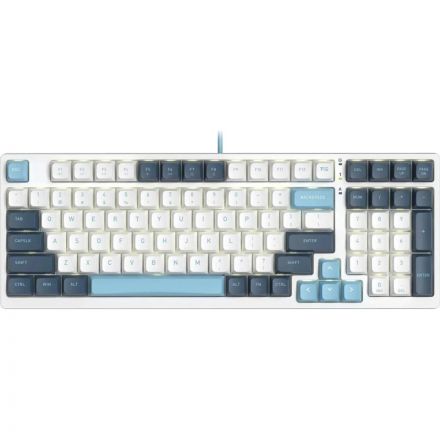 Клавиатура A4Tech Fstyler(FS300 PANDA SNOWBOARDING)мех.бел/син USB gam.LED Клавиатура A4Tech Fstyler(FS300 PANDA SNOWBOARDING)мех.бел/син USB gam.LED