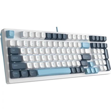 Клавиатура A4Tech Fstyler(FS300 PANDA SNOWBOARDING)мех.бел/син USB gam.LED Клавиатура A4Tech Fstyler(FS300 PANDA SNOWBOARDING)мех.бел/син USB gam.LED