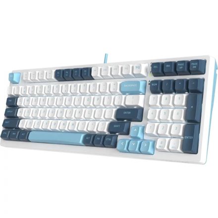 Клавиатура A4Tech Fstyler(FS300 PANDA SNOWBOARDING)мех.бел/син USB gam.LED Клавиатура A4Tech Fstyler(FS300 PANDA SNOWBOARDING)мех.бел/син USB gam.LED