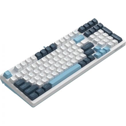 Клавиатура A4Tech Fstyler(FS300 PANDA SNOWBOARDING)мех.бел/син USB gam.LED Клавиатура A4Tech Fstyler(FS300 PANDA SNOWBOARDING)мех.бел/син USB gam.LED