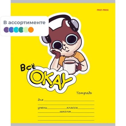Тетрадь КЛЕТКА 18л. ВСЁ ОКЕЙ цвет.мелов.обл.,5 дизайнов в спайке 18-5590