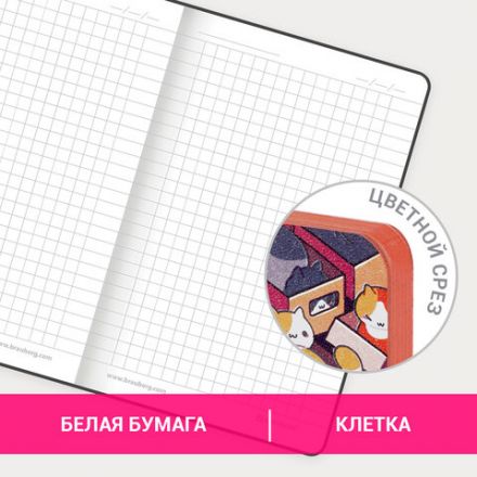 Блокнот МАЛЫЙ ФОРМАТ (100х150 мм) А6, BRAUBERG VISTA "Catopolis", под кожу, гибкий, 80 л., 112100 Блокнот МАЛЫЙ ФОРМАТ (100х150 мм) А6, BRAUBERG VISTA "Catopolis", под кожу, гибкий, 80 л., 112100