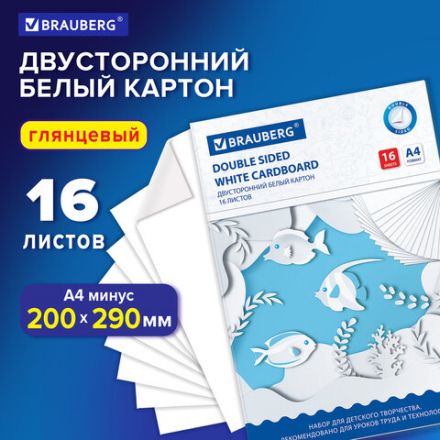 Картон белый А4 МЕЛОВАННЫЙ (белый оборот), 16 листов, в папке, BRAUBERG, 200х290 мм, 113561 Картон белый А4 МЕЛОВАННЫЙ (белый оборот), 16 листов, в папке, BRAUBERG, 200х290 мм, 113561