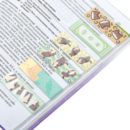 Закладки для книг МАГНИТНЫЕ, "МИЛЫЕ КОТЫ", набор 6 штук, 60x20 мм, BRAUBERG, 116985 Закладки для книг МАГНИТНЫЕ, "МИЛЫЕ КОТЫ", набор 6 штук, 60x20 мм, BRAUBERG, 116985