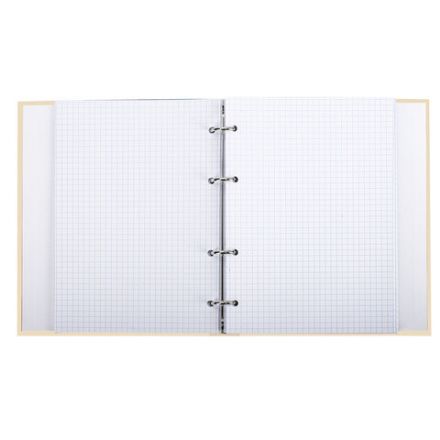 Тетрадь на кольцах А5 (175х215 мм), 240 листов, твердый картон, клетка, BRAUBERG, Miracle, 404093 Тетрадь на кольцах А5 (175х215 мм), 240 листов, твердый картон, клетка, BRAUBERG, Miracle, 404093