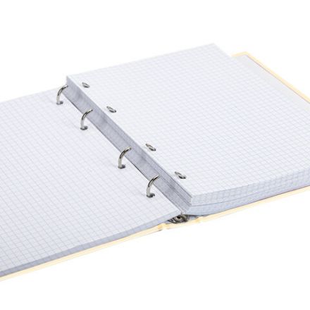 Тетрадь на кольцах А5 (175х215 мм), 240 листов, твердый картон, клетка, BRAUBERG, Miracle, 404093 Тетрадь на кольцах А5 (175х215 мм), 240 листов, твердый картон, клетка, BRAUBERG, Miracle, 404093