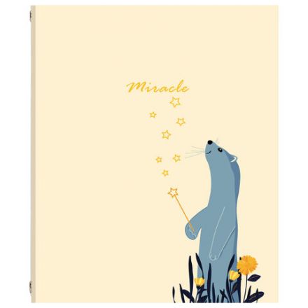 Тетрадь на кольцах А5 (175х215 мм), 240 листов, твердый картон, клетка, BRAUBERG, Miracle, 404093 Тетрадь на кольцах А5 (175х215 мм), 240 листов, твердый картон, клетка, BRAUBERG, Miracle, 404093