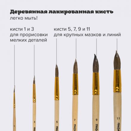 Кисти ПИФАГОР, набор 6 шт. (БЕЛКА: круглые № 1, 3, 5, 7, 9, 11), блистер с европодвесом, 200891
