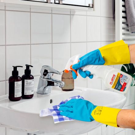 Средство для удаления известкового налета и ржавчины 500 мл LAIMA PROFESSIONAL, 606375 Средство для удаления известкового налета и ржавчины 500 мл LAIMA PROFESSIONAL, 606375