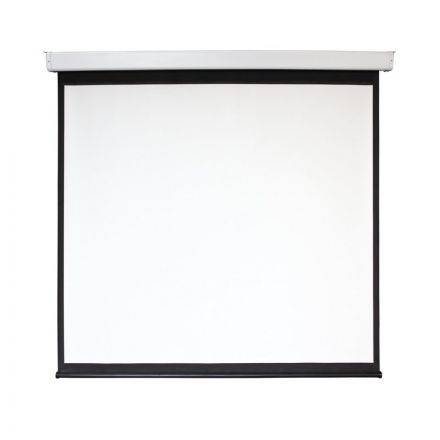 Экран Digis DSEF-1108 настенный мотор. 1:1, 240х240 Экран Digis DSEF-1108 настенный мотор. 1:1, 240х240