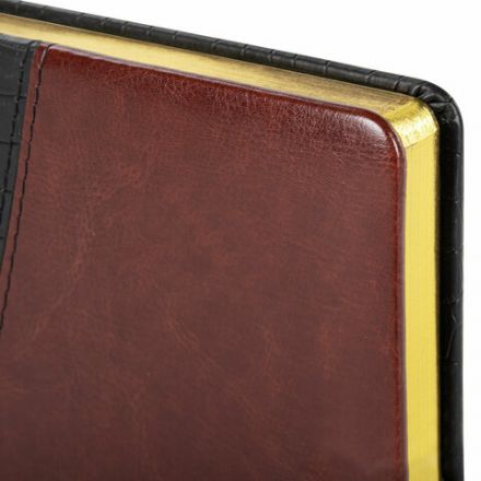 Ежедневник недатированный А5 138х213 мм BRAUBERG "Cayman" под кожу, 160 л., черный/темно-коричневый, 123399 Ежедневник недатированный А5 138х213 мм BRAUBERG "Cayman" под кожу, 160 л., черный/темно-коричневый, 123399