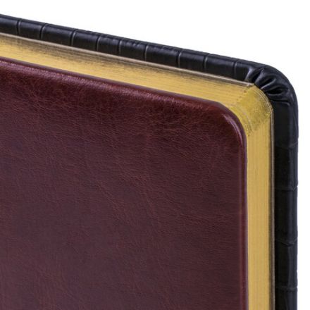 Ежедневник недатированный А5 138х213 мм BRAUBERG "Cayman" под кожу, 160 л., черный/темно-коричневый, 123399 Ежедневник недатированный А5 138х213 мм BRAUBERG "Cayman" под кожу, 160 л., черный/темно-коричневый, 123399