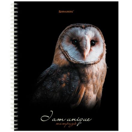 Тетрадь А5 96 л. BRAUBERG, гребень, клетка, твёрдая обложка, "Совы" (микс в спайке), 404443