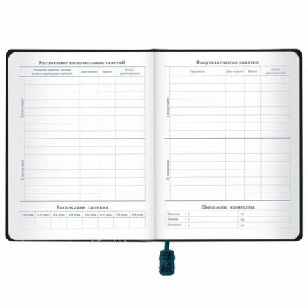 Дневник 1-11 класс 48 л., кожзам (твердая с поролоном), печать, ляссе с аппликацией, BRAUBERG, "Boy", 106959