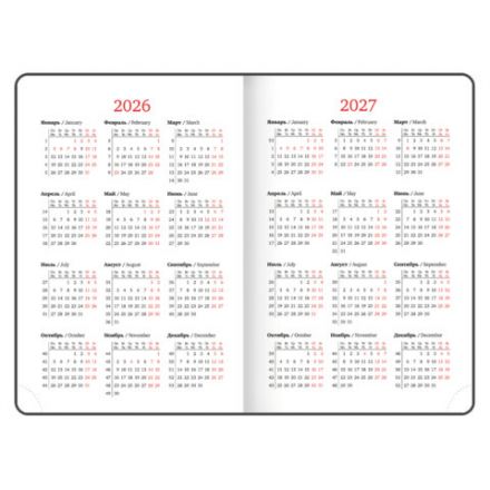 Ежедневник датированный 2026, А5, 150x213 мм, BRAUBERG "Up", под кожу, софт-тач, держатель для ручки, синий, 117118 Ежедневник датированный 2026, А5, 150x213 мм, BRAUBERG "Up", под кожу, софт-тач, держатель для ручки, синий, 117118