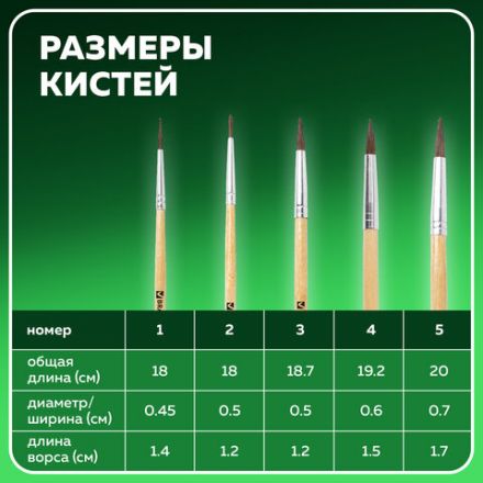 Кисти BRAUBERG, набор 5 шт. (пони, круглые № 1, 2, 3, 4, 5), блистер, 200222
