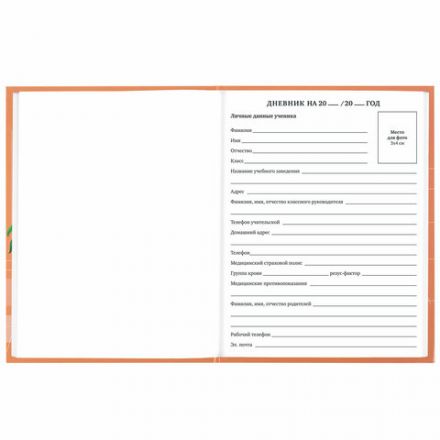 Дневник 1-11 класс 40 л., твердый, BRAUBERG, глянцевая ламинация, "Cute cat", 106852