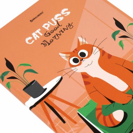 Дневник 1-11 класс 40 л., твердый, BRAUBERG, глянцевая ламинация, "Cute cat", 106852 Дневник 1-11 класс 40 л., твердый, BRAUBERG, глянцевая ламинация, "Cute cat", 106852