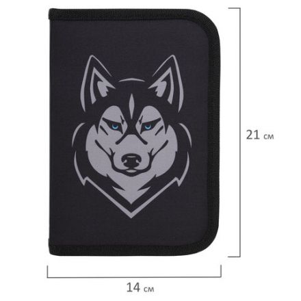 Пенал BRAUBERG, 1 отделение, полиэстер, 21х14 см, "Husky", 271532 Пенал BRAUBERG, 1 отделение, полиэстер, 21х14 см, "Husky", 271532