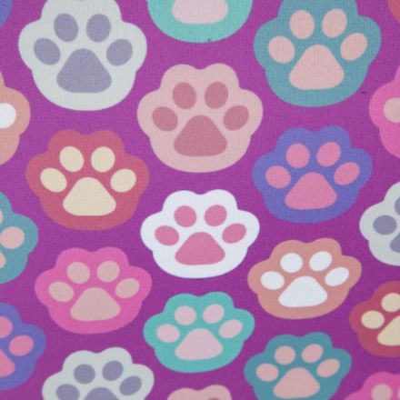 Ранец Easy Лапки, 2 отд Ранец Easy Лапки, 2 отд