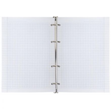 Тетрадь общая А5 120л.клет,кольца,обл.пластик,Infolio Study,Camomiles,N3396