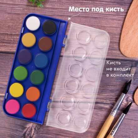 Краски акварельные BRAUBERG "PREMIUM" 12 цветов, круглые кюветы 28 мм, пенал, 191743 Краски акварельные BRAUBERG "PREMIUM" 12 цветов, круглые кюветы 28 мм, пенал, 191743