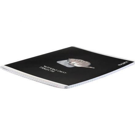 Тетрадь предметнaя ФИЗИКА 'КОТЫ МЕМЫ' 48 л., А5+,клетка,справ.инф/69822 Тетрадь предметнaя ФИЗИКА 'КОТЫ МЕМЫ' 48 л., А5+,клетка,справ.инф/69822