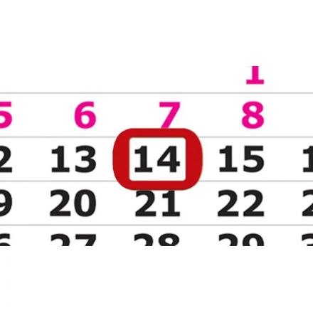 Календарь настенный 3-х блочный 2026,магн.кур,305х675,Сосна на утесе,3329-5