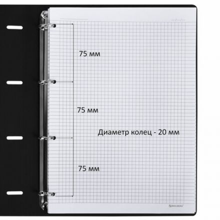 Тетрадь на кольцах БОЛЬШАЯ А4 (240х310 мм), 120 л., под кожу, BRAUBERG VISTA, "Гранаты", 404513 Тетрадь на кольцах БОЛЬШАЯ А4 (240х310 мм), 120 л., под кожу, BRAUBERG VISTA, "Гранаты", 404513