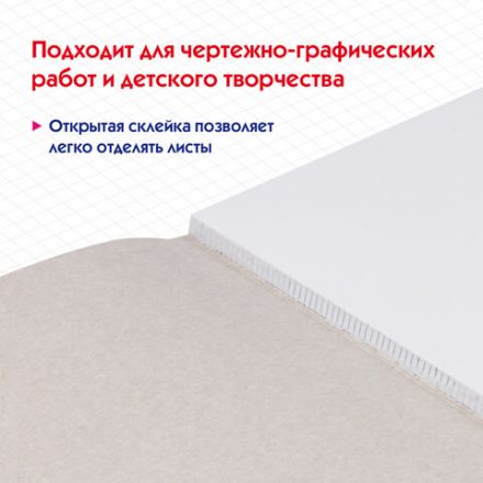 Альбом для черчения А4 40 л., склейка, 160 г/м2, ПИФАГОР, 104808 Альбом для черчения А4 40 л., склейка, 160 г/м2, ПИФАГОР, 104808