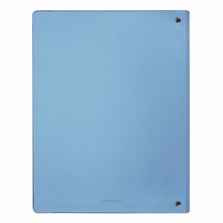 Тетрадь на кольцах БОЛЬШАЯ А4 (240х310 мм), 120 л., под кожу, BRAUBERG VISTA, "Пастельная", 404514