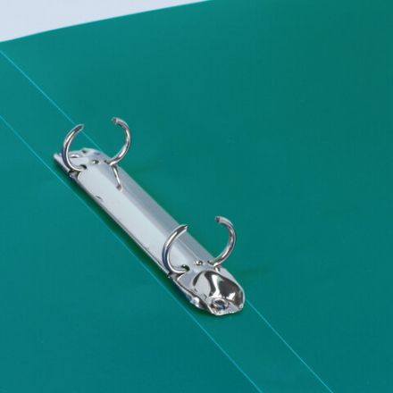 Папка на 2 кольцах BRAUBERG "Стандарт", 25 мм, зеленая, до 170 листов, 0,8 мм, 221613 Папка на 2 кольцах BRAUBERG "Стандарт", 25 мм, зеленая, до 170 листов, 0,8 мм, 221613